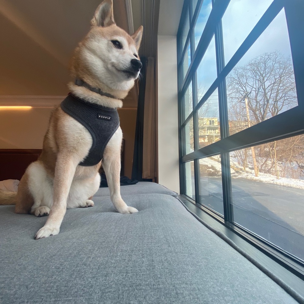 Meet your Posher, Doug